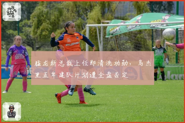 猛龙新总裁上任即清洗功勋,乌杰里五年建队计划遭全盘否定