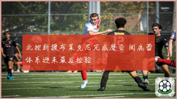 北控新援布莱克尼完成磨合 闵鹿蕾体系迎来最后检验